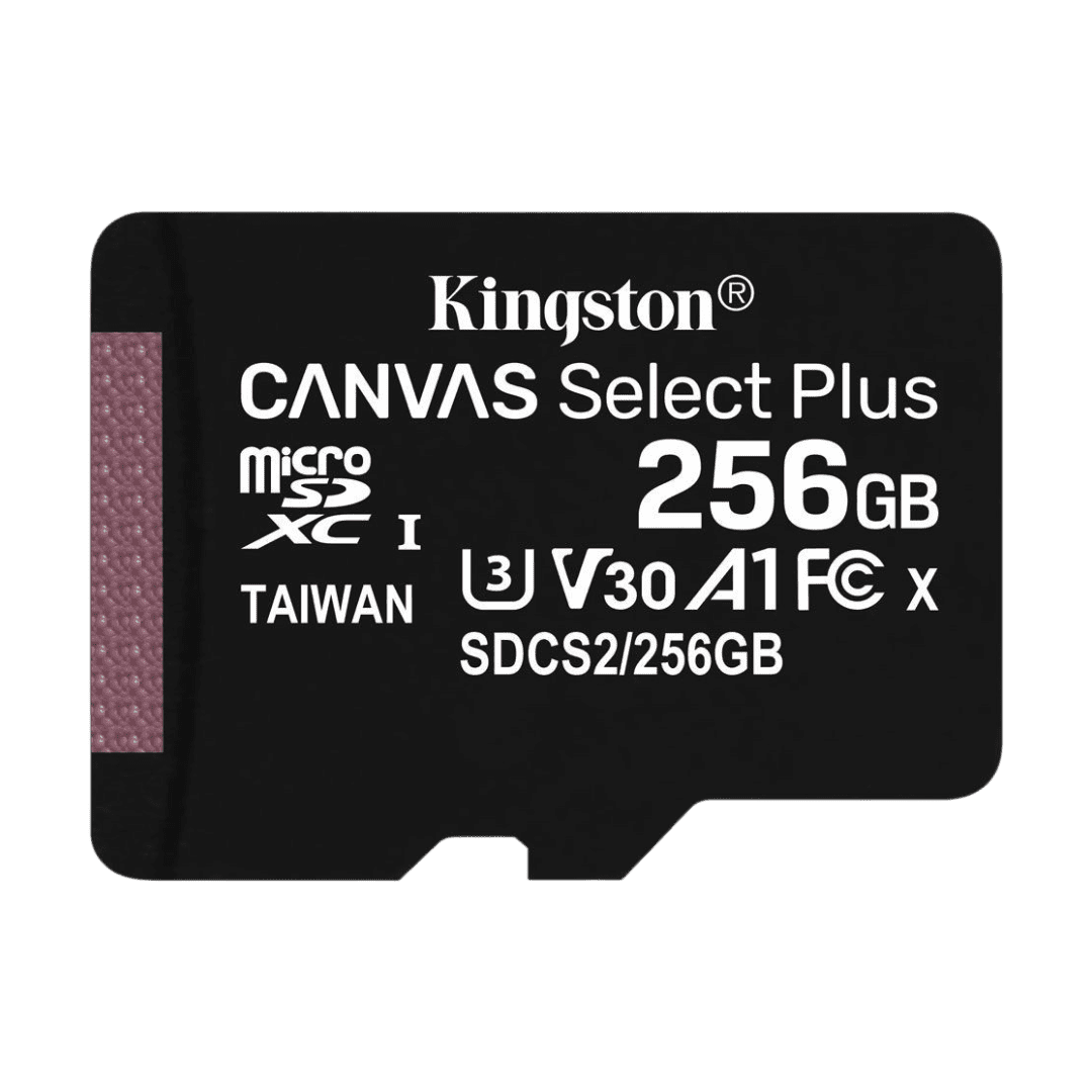 Micro SD Kingston SDCS2 256GB