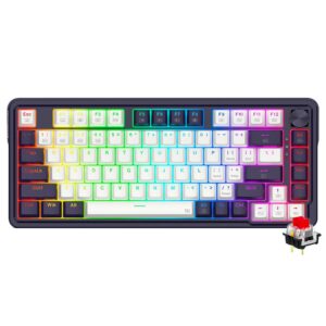 Teclado Gamer Mecánico Redragon K673WB-RGB-PRO UCAL Pro Mini Wireless RED Inglés Morado Blanco