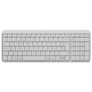 Teclado Logitech K250 Wireless Español Blanco (920-013446)