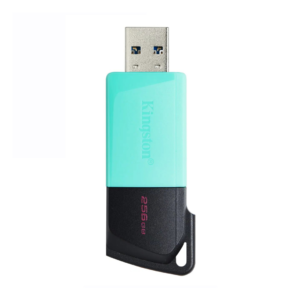 Pendrive Kingston Exodia DTXM 256Gb USB3.2 Negro-Verde