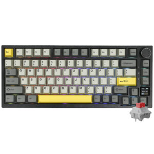 Teclado Gamer Mecánico Ajazz AK820 Pro Nacodexx Wireless RGB Flying Fish Inglés Negro Gris (980862)
