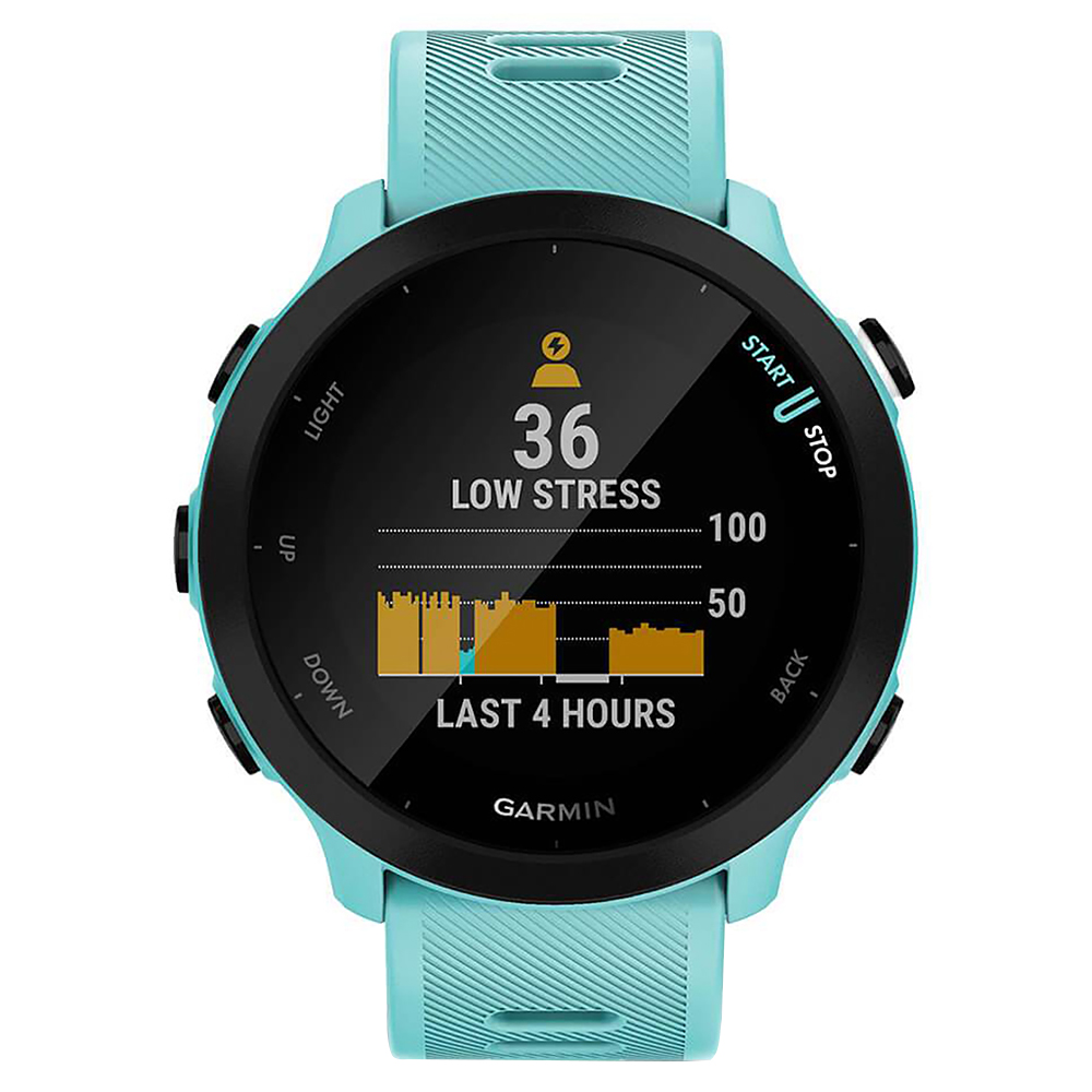 Reloj Garmin Forerunner 55-AZUL (010-02562-02)