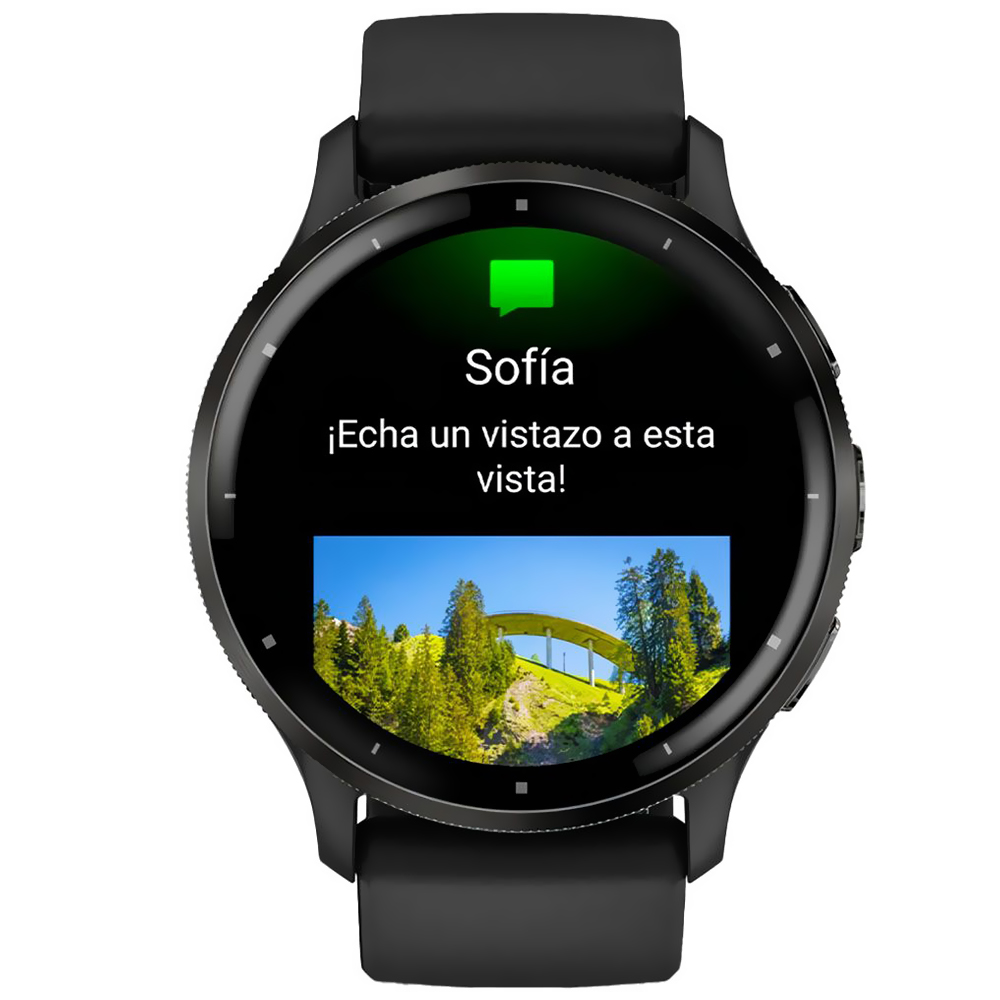 Reloj Garmin Venu 3-NEGRO / Gris (010-02784-01)