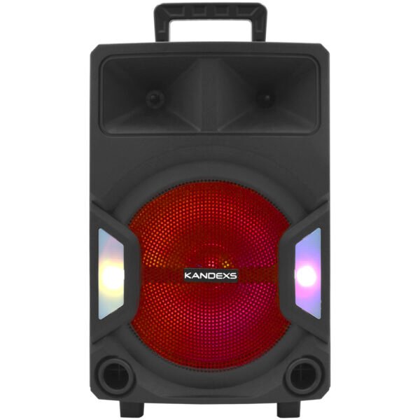 Parlante Kandexs Party YE-1208 12" Bluetooth AUX USB FM Tf LED-Negro