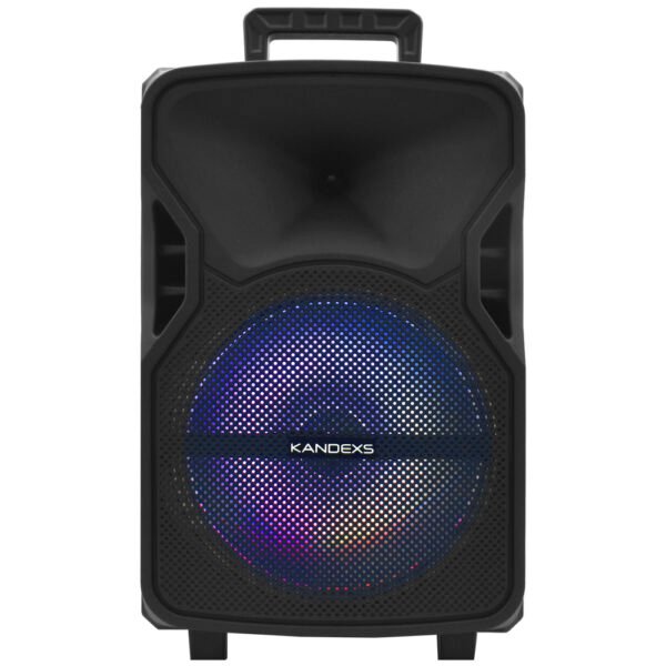 Parlante Kandexs Party YE-1209 12" Bluetooth AUX USB FM Tf LED-Negro