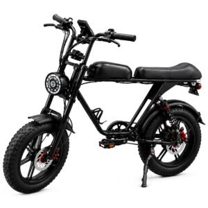Bicicleta Eléctrica Bluhan Ebike M2-NEGRO