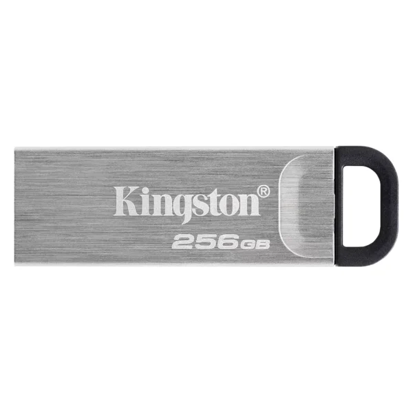 Pendrive Kingston DaTatraveler Kyson 256GB USB 3.2-PLATA (DTKN/256GB)