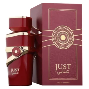 Perfume Fragrance World Just Anabi Eau de Parfum Femenino 100ml