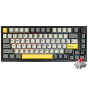 Teclado Gamer Mecánico Ajazz AK820 Pro Nacodexx Wireless RGB Flying Fish Inglés-Negro Gris (980862)