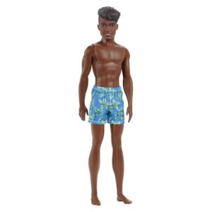 Muñeca Mattel Barbie Beach Ken (hxx53)